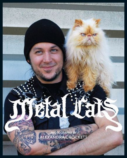 Muzicieni de muzica cat-metal din trupe de rock extreme si pisicile lor - revista de piatra
