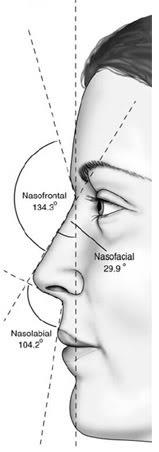 Craniometria sau modul de măsurare a craniului corect