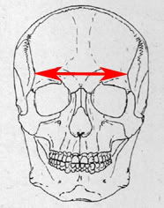 Craniometria sau modul de măsurare a craniului corect