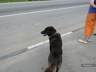 Міцний горішок (Ладозьке озеро, Шліссельбург, фортеця горішок, село Мар'їно)