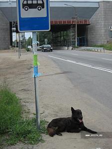 Міцний горішок (Ладозьке озеро, Шліссельбург, фортеця горішок, село Мар'їно)