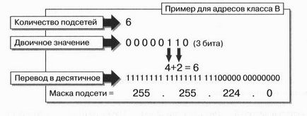 Activitatea Subnet Lab