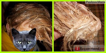 Ламінування волосся на дому - «замість волосся-шовкове ювання желатином і маслами