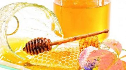 A kezelés a gyomorfekély aloe és méz likőr hatékony receptek - az életem