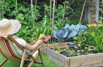 Modul simplu de a cultiva vinete, grădinar (fermă)