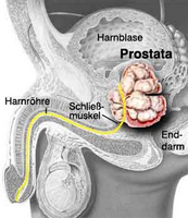 Medicamente pentru prostatita Cialis