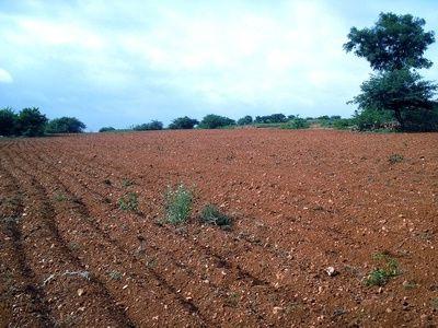 Agricultura filială personală (lxx) care decodează conceptele-cheie