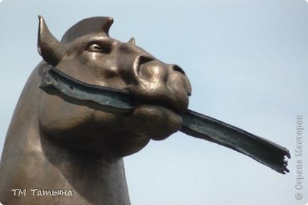 Festivalul de cai, țară de maeștri