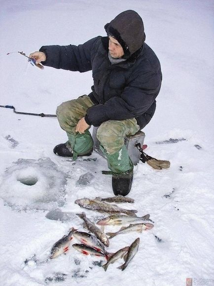 Ловля взимку на Балду виготовлення, гра і техніка риболовлі