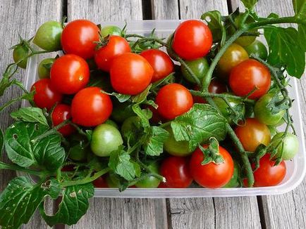 Кращі комплексні добрива для томатів