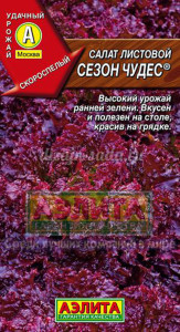 Най-добрите сортове на салата, местоположение, коментари, снимки, описание на