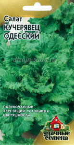 Кращі сорти салату опис, відгуки, фото, характеристика