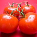 Cele mai bune soiuri de semințe de tomate pentru sere și teren deschis în suburbii
