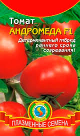 Кращі сорти насіння томатів для теплиці та відкритого грунту в Підмосков'ї