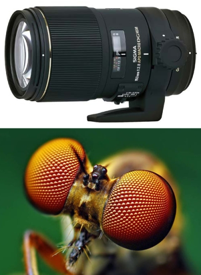 Obiective macro cu Nikon f mount