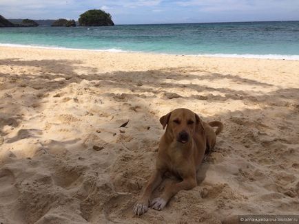 Egy kis esküvői Boracay visszajelzést turisták anna_kambarova