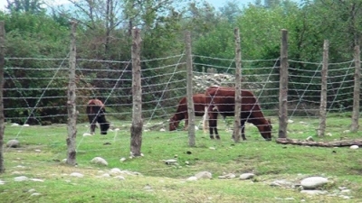 Un loc în care nu te poți relaxa