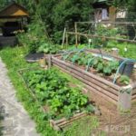 Метод Мітлайдера овочівництво на малих площах