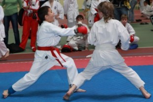 World karate kata sau kumite, care este mai importantă