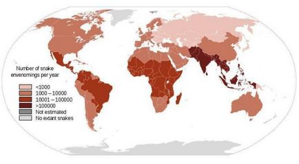 Omul a devenit imun la muscatura de șerpi morți, după sute de mușcături