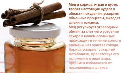 Настоянка трепанга на меду рецепт і лікувальні властивості