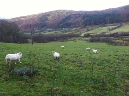 Welsh National Park - snowdonia, salut, london