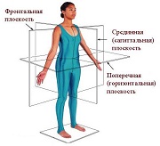 Act normativ normativ ca sursă de drept