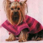 Ruházat francia bulldog - Melange pulóver - tiszta macska - bútorok és ruhák háziállatoknak -