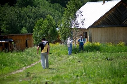 Cerbul a văzut coarnele și a făcut medicamente de vindecare