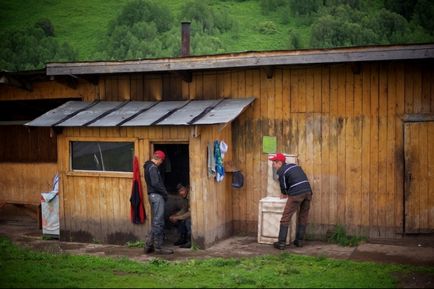 Cerbul a văzut coarnele și a făcut medicamente de vindecare