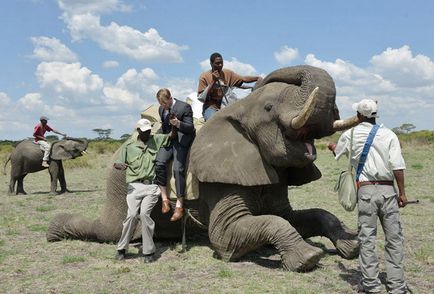 Nuntă originală în cabana africană - chengeta safari