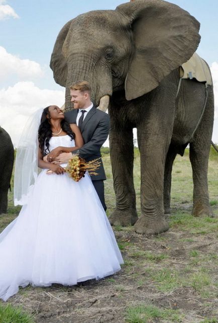 Nuntă originală în cabana africană - chengeta safari
