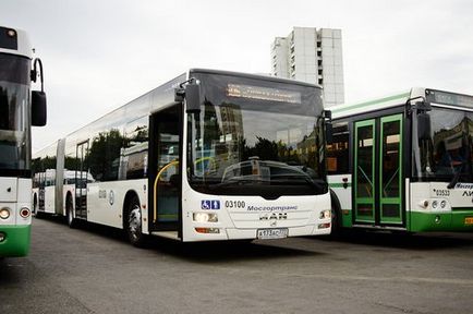 Від метро - планерна - до - Мітіно - запущений новий автобусний маршрут - москва 24