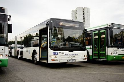 De la metro-glider - pre-Mitino - a fost lansat un nou traseu de autobuz - Moscova 24