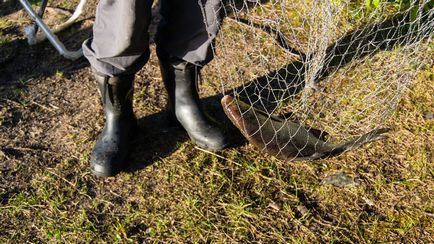 Becsüljük halászat Vuoksa Rybkin mosoly - jelentések halászat, halászati ​​fotó, horgászfelszerelés