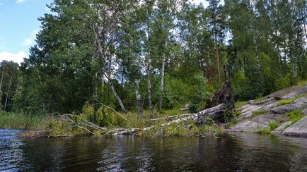 Becsüljük halászat Vuoksa Rybkin mosoly - jelentések halászat, halászati ​​fotó, horgászfelszerelés