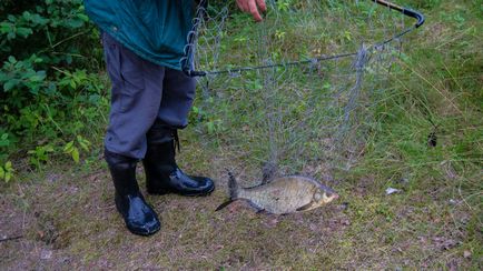 Becsüljük halászat Vuoksa Rybkin mosoly - jelentések halászat, halászati ​​fotó, horgászfelszerelés