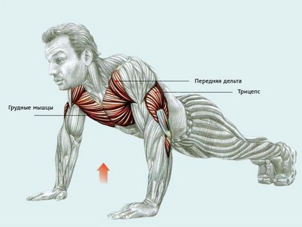 Push-up-uri cu o strângere strânsă a casei