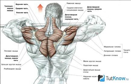 Despre exercițiile auxiliare pentru lifting