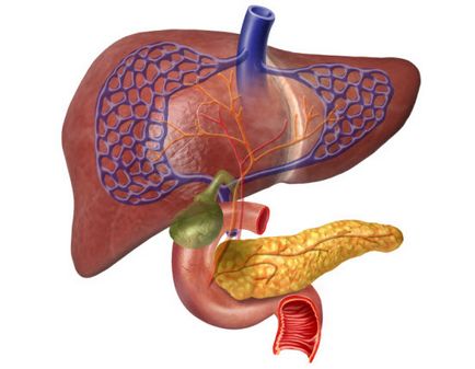 Inflamația pancreasului la copii și adulți, pancreatită