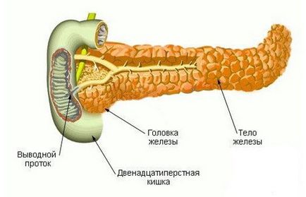 Inflamația pancreasului la copii și adulți, pancreatită