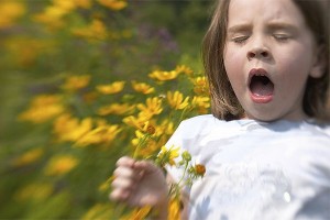 Alarma alergică a mesei de perechi de produse