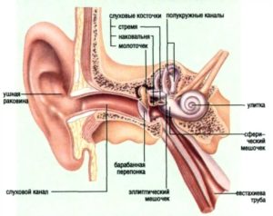 Fractură a simptomelor urechii, tratament, ce trebuie făcut