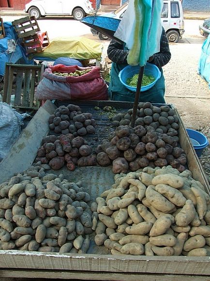 Peru, Machu Picchu, cum să ajungi acolo (opțiunea bugetară), eh! klmn