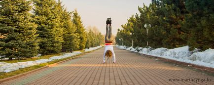 De ce yoga a devenit populară