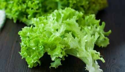Beneficii și daune cauzate de aplicarea de salată verde în medicina populară și cosmetologia de origine