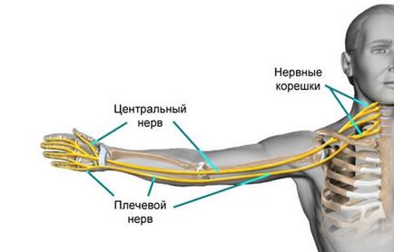 Після підтягувань болять лікті - причини і лікування