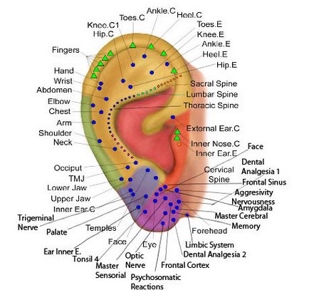 Puncturează urechile copilului, străpunge urechea cu un reflexoterapeut la puncte, străpunge urechile din centrul medical,