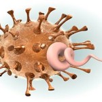 Противірусні препарати від свинячого грипу огляд