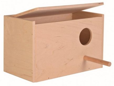 Szaporodás törpepapagájok, 1. rész (papagájok) A szaporodási budgies, 1. rész